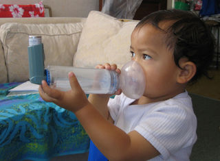 FREE Breathing Seminar, Asthma Auckland, 26 October 2016