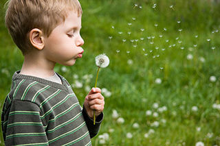 HAY FEVER HELL - How to beat it