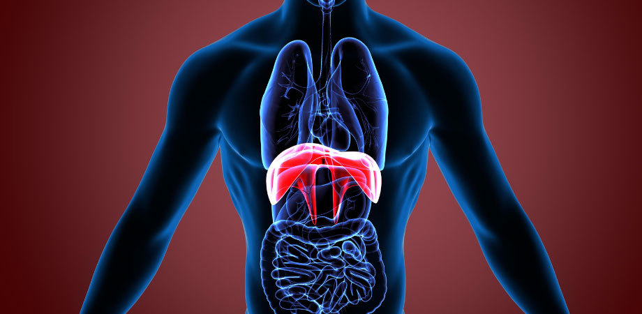 Diaphragm breathing