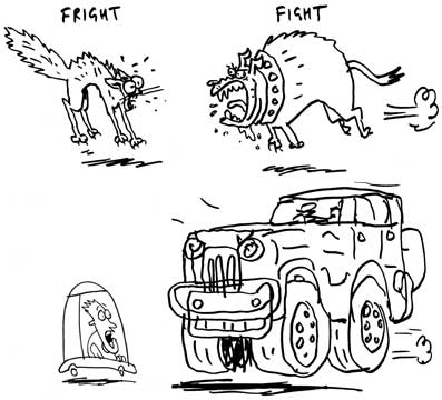 Fright or Fight cartoon